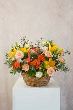 Cargar imagen en el visor de la galería, First Love