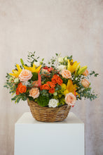 Cargar imagen en el visor de la galería, First Love