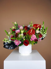 Cargar imagen en el visor de la galería, Emilia