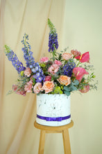 Cargar imagen en el visor de la galería, Cordelia