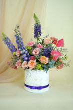 Cargar imagen en el visor de la galería, Cordelia