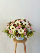 Cargar imagen en el visor de la galería, Cali