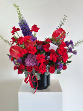 Cargar imagen en el visor de la galería, Carola Deluxe