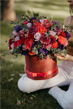 Cargar imagen en el visor de la galería, Livorno