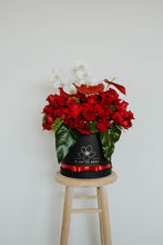 Cargar imagen en el visor de la galería, Lina con Orquídeas Phalaenopsis