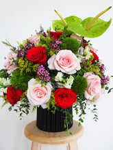 Cargar imagen en el visor de la galería, Olivia