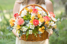 Cargar imagen en el visor de la galería, Bombay