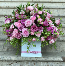 Cargar imagen en el visor de la galería, Catalina