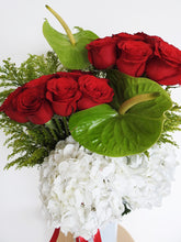 Cargar imagen en el visor de la galería, Cádiz