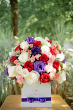 Cargar imagen en el visor de la galería, Montecarlo