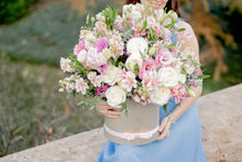 Cargar imagen en el visor de la galería, Niza