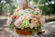 Cargar imagen en el visor de la galería, Pamplona