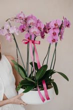 Cargar imagen en el visor de la galería, Timless Orchid
